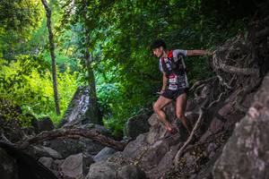 BIB: 
                            <button type="button" onclick="openModal(6991799)" class="btn btn-primary btn-sm float-right btn-popup" data-toggle="modal" data-target=".modal-high-quality">
                        <i class="fas fa-shopping-cart"></i> Add to Cart
                    </button>
                                            <button type="button" onclick="isThisMe(6991799, true)" class="btn btn-success btn-sm float-right btn-popup btn-isme hidden" data-toggle="tooltip" data-placement="bottom" title="นี่คือรูปของคุณใช่ไหม คลิกที่นี่เพื่อเอาเข้าอัลบั้ม">
                        <i class="fas fa-plus"></i> Add to album
                    </button>
                    <button type="button" onclick="isThisMe(6991799, false)" class="btn btn-warning btn-sm float-right btn-popup btn-isnotme hidden">
                        <i class="fas fa-ban"></i> Remove from album
                    </button>